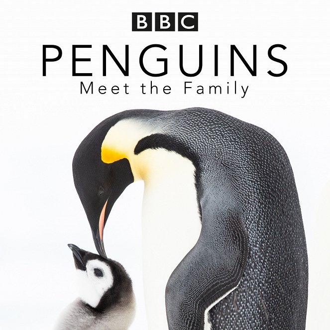 Tučňáci - setkání s rodinou - Plagáty