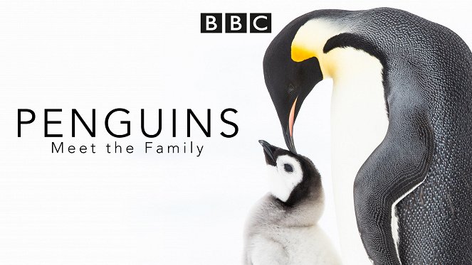 Tučňáci - setkání s rodinou - Plakáty