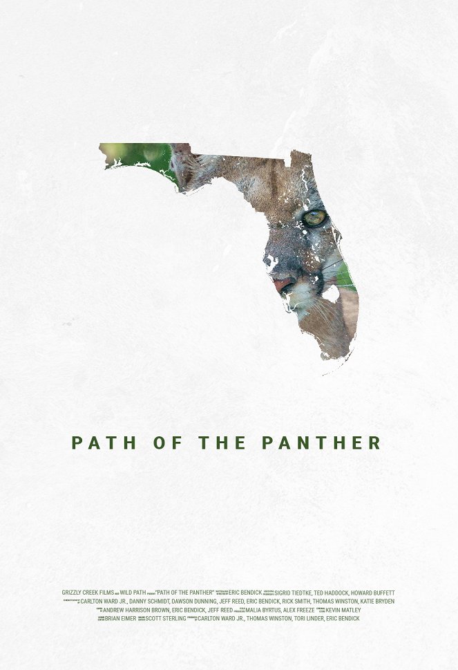 Záchrana floridských pum - Plakáty