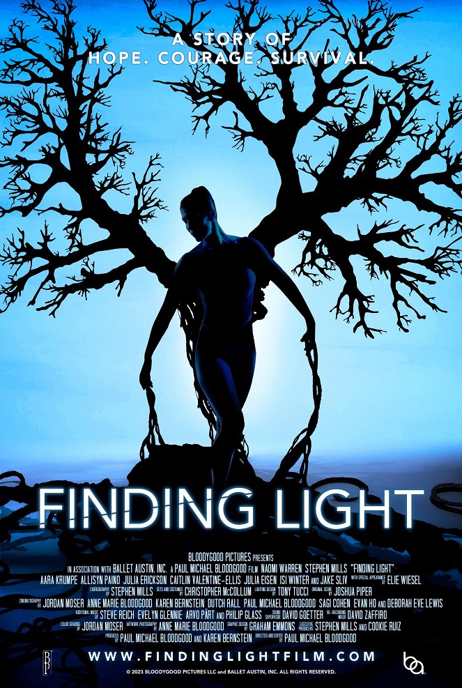 Finding Light - Affiches