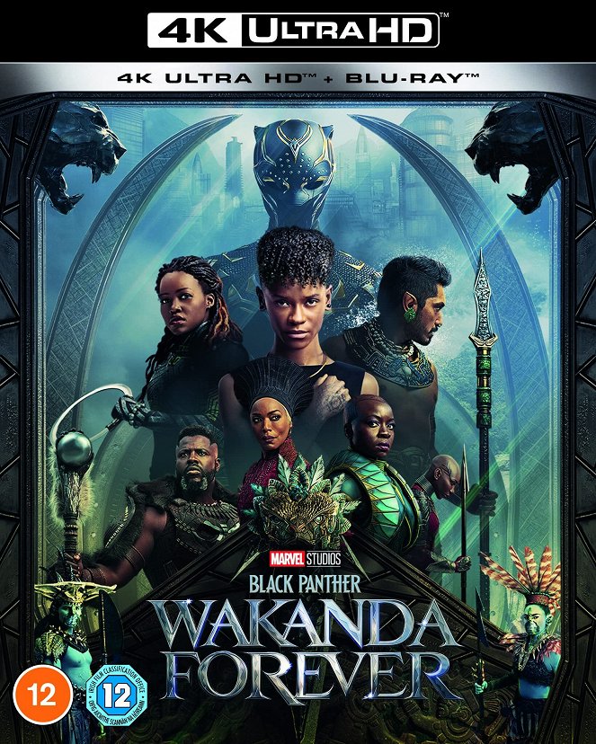 Black Panther: Wakanda Forever - Posters