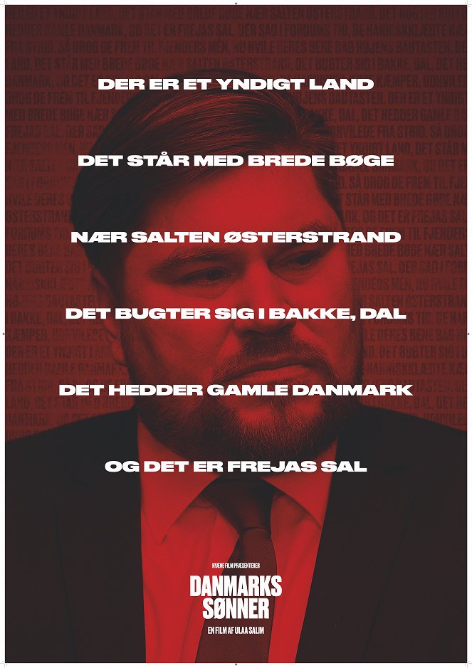 Synové Dánska - Plakáty