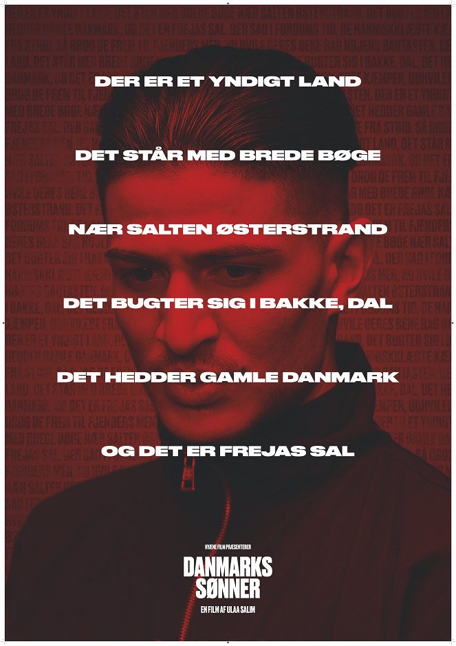 Sons Of Denmark - Plakate