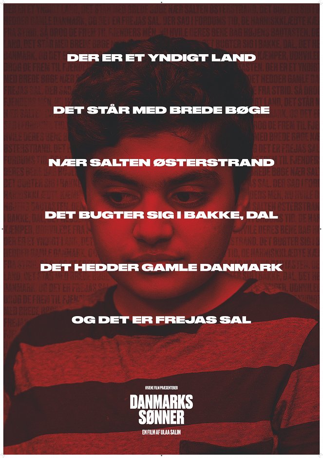 Danmarks sønner - Posters