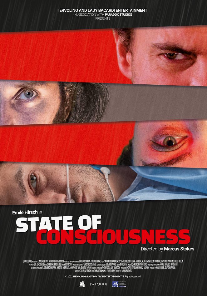 State of Consciousness - Cartazes