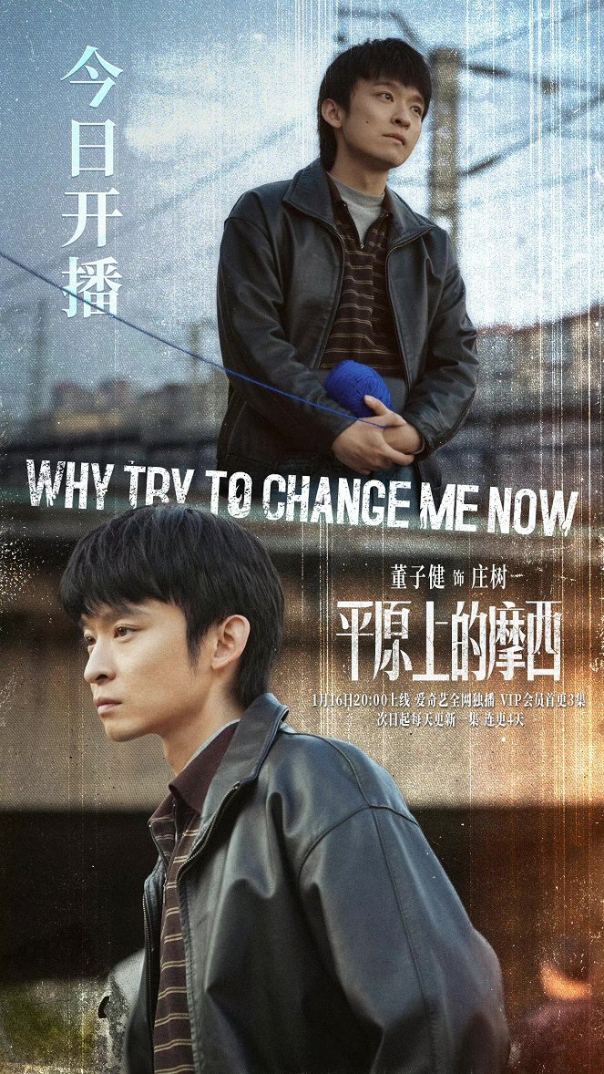 Why Try to Change Me Now - Posters