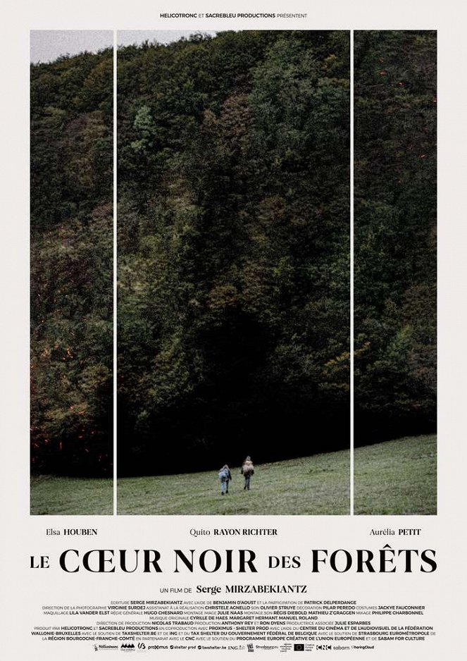 Le Coeur noir des forêts - Plakate