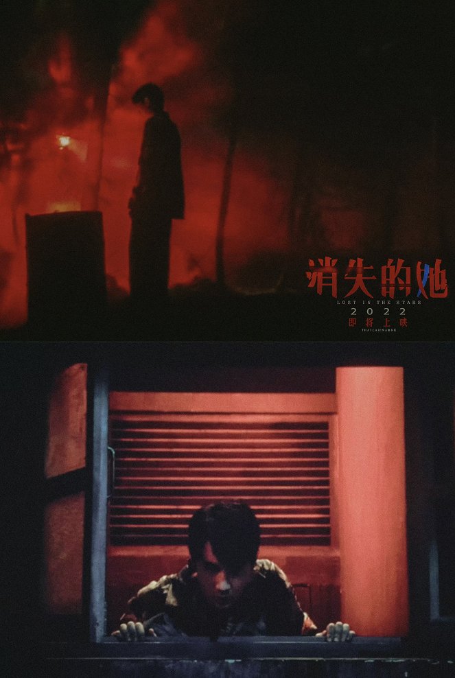 Xiao shi de ta - Posters