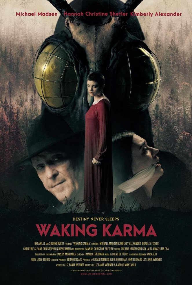 Waking Karma - Plakaty