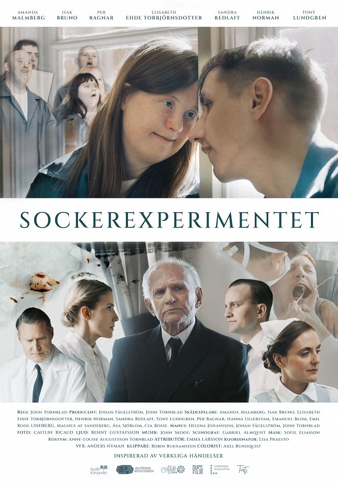 Sockerexperimentet - Posters