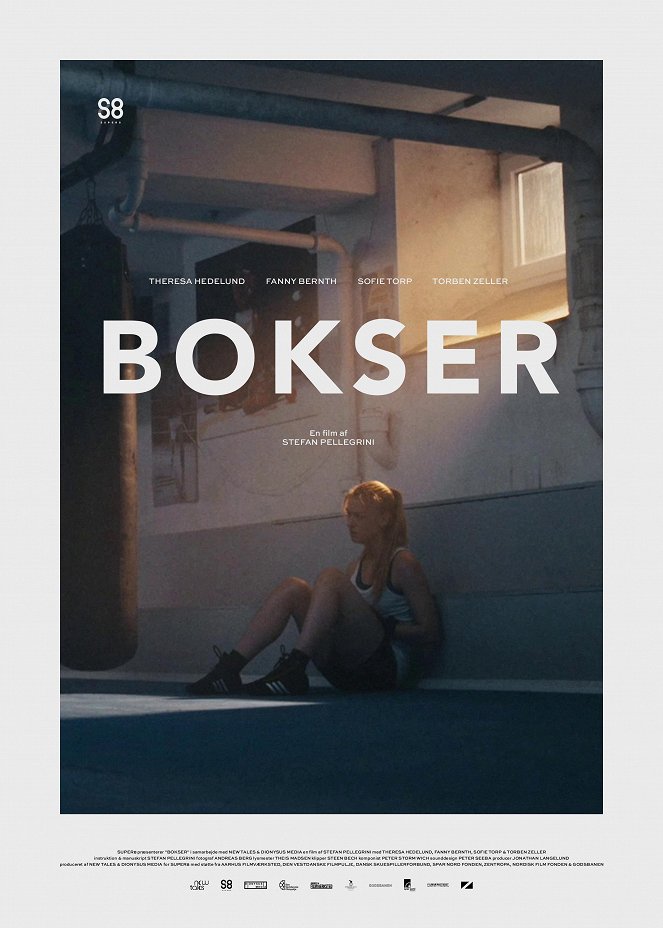 Boxer - Posters