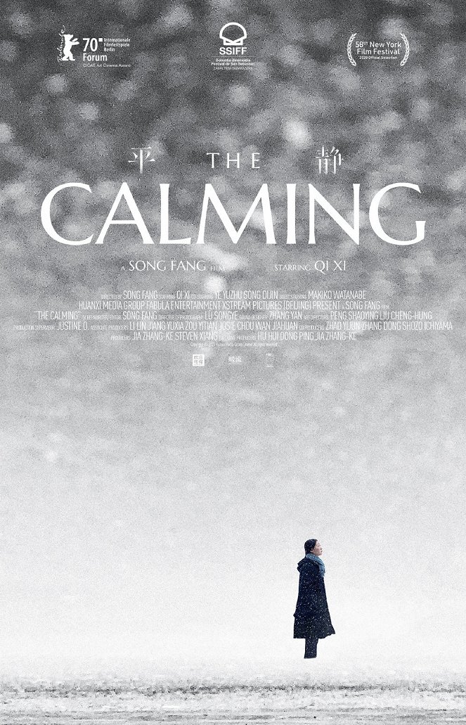 The Calming - Posters