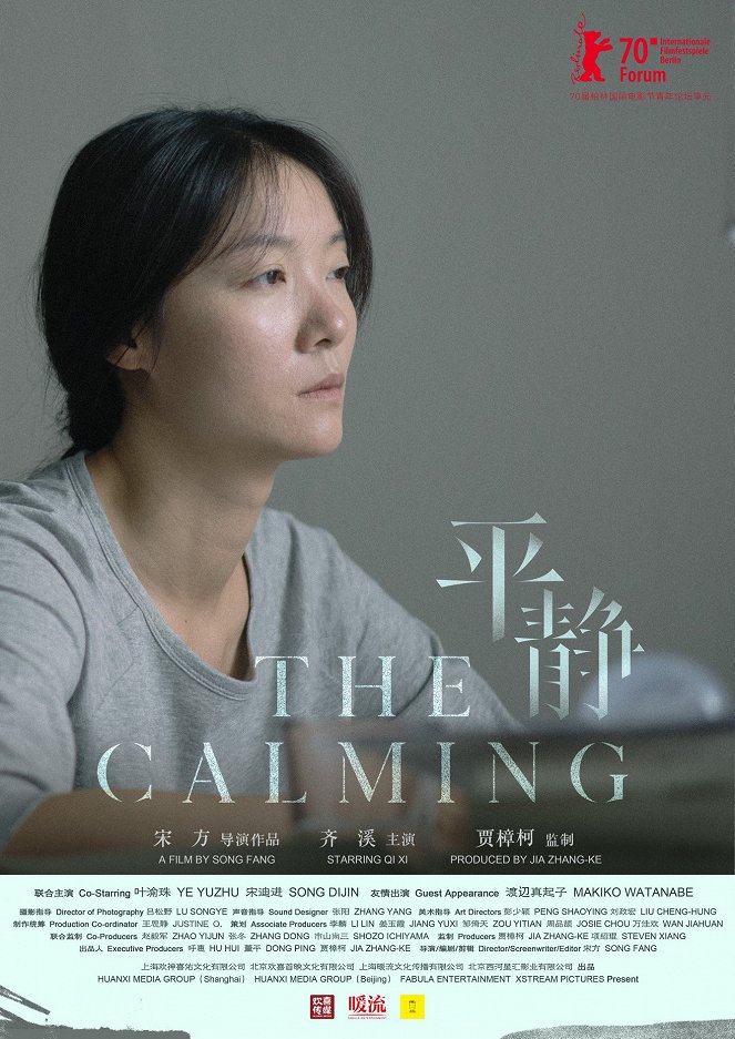 The Calming - Plakate