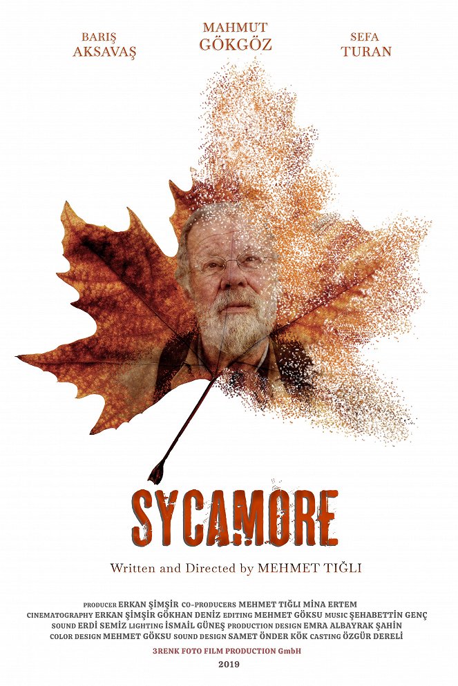 Sycamore - Posters