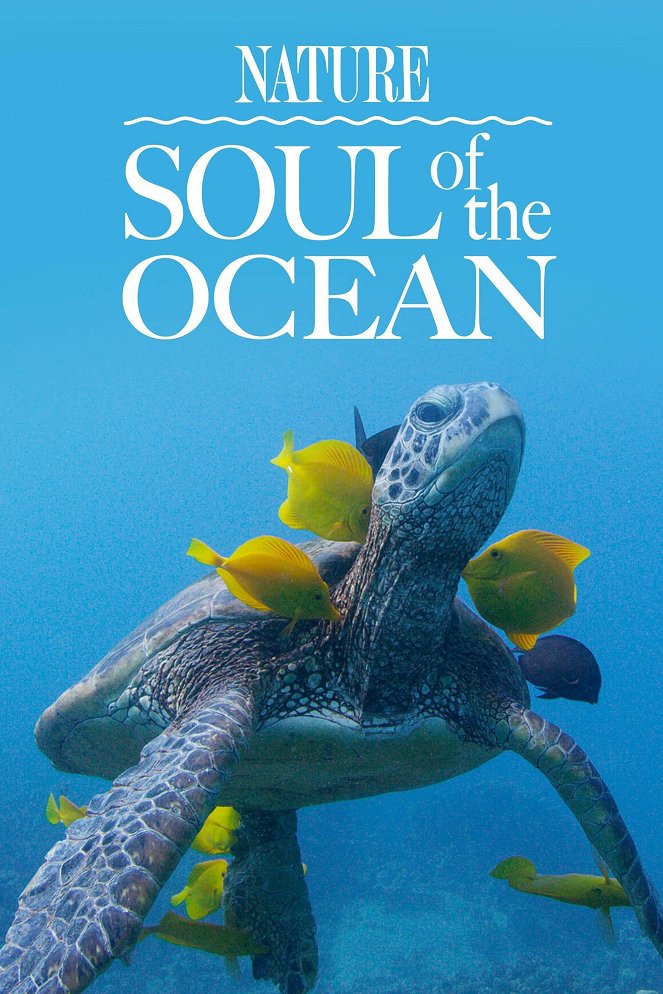 Az óceán lelke - Plakátok