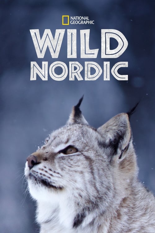 Wild Nordic - Carteles