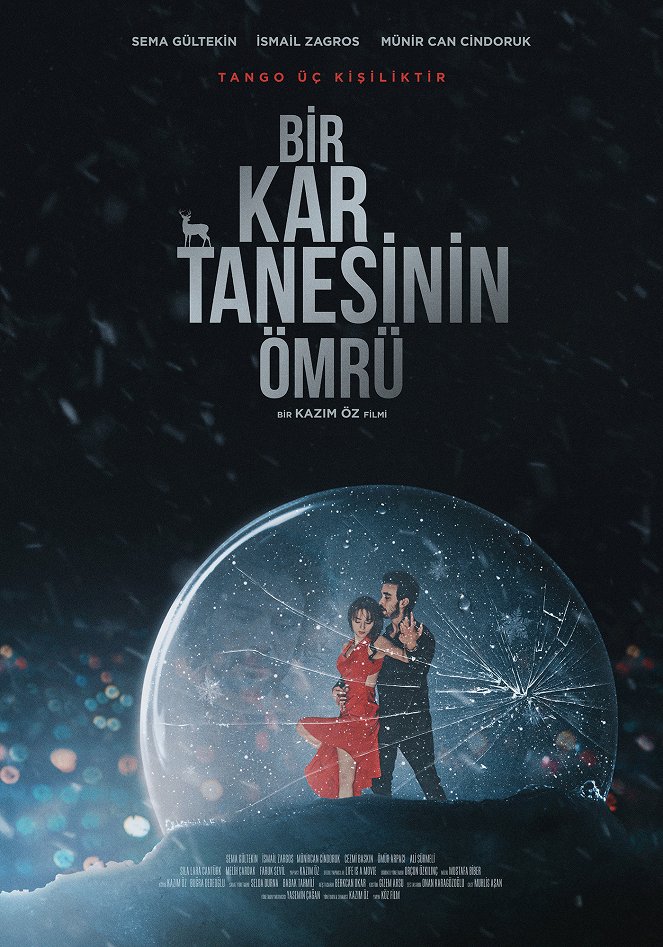 Bir Kar Tanesinin Ömrü - Plakate