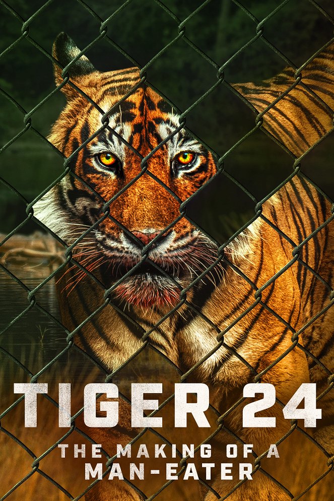 Tiger 24 - Plagáty