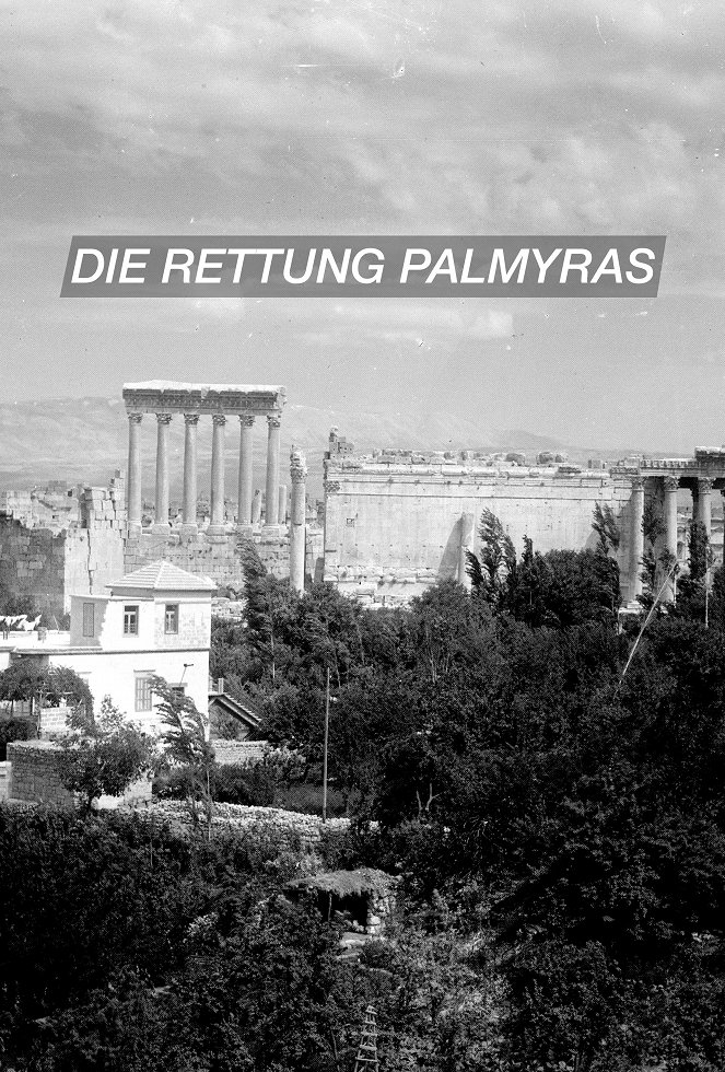 Terra X: Die Rettung Palmyras - Plakate