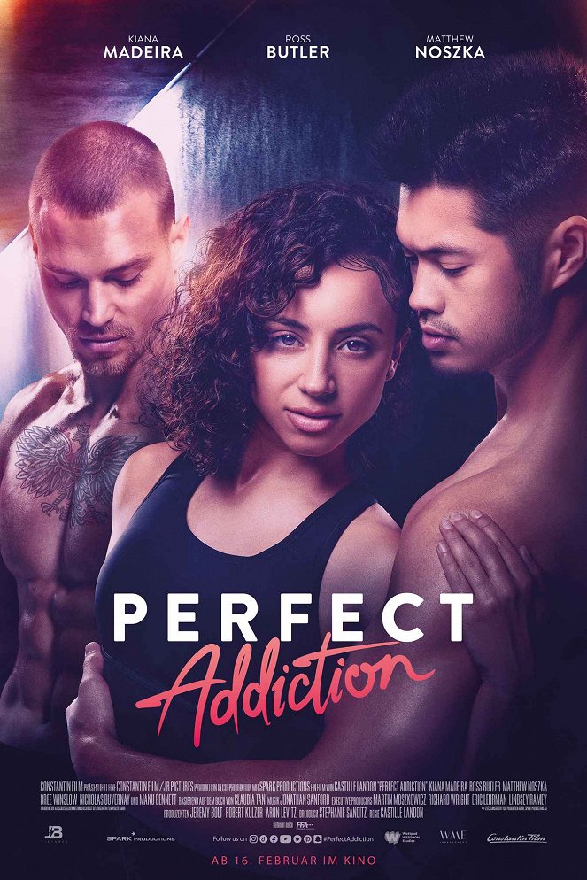 Perfect Addiction - Affiches