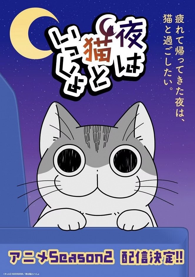 Nights with a Cat - Nights with a Cat - Season 2 - Posters