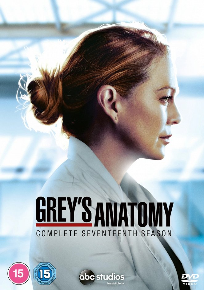 Grey's Anatomy - Season 17 - Posters