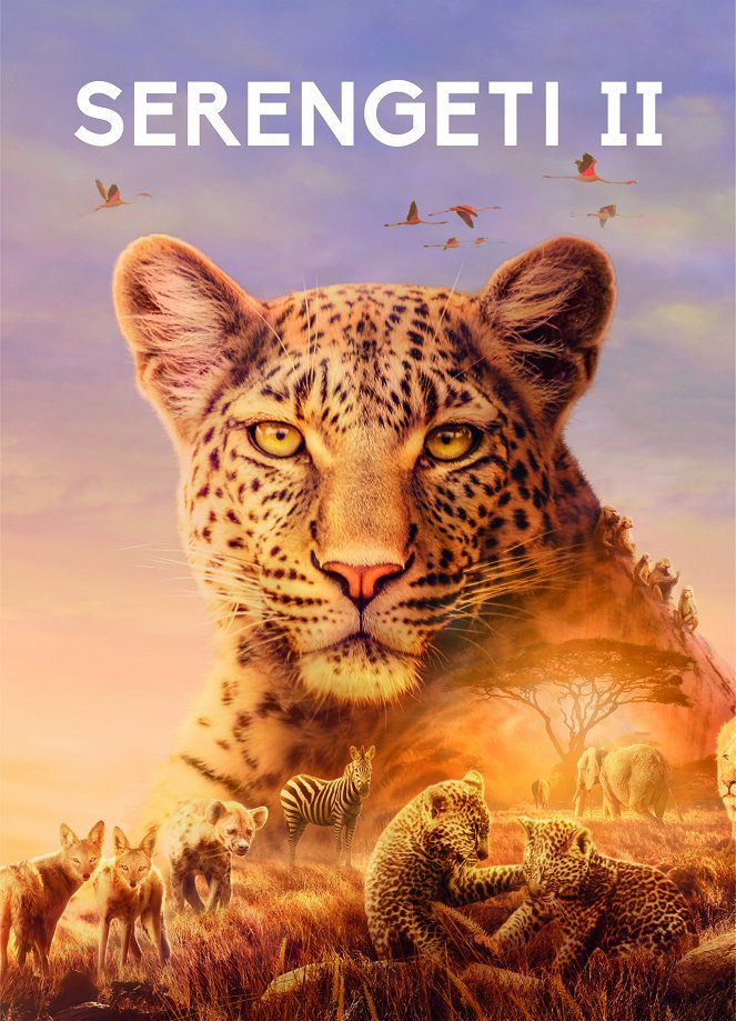 Serengeti - Serengeti - Season 2 - Affiches