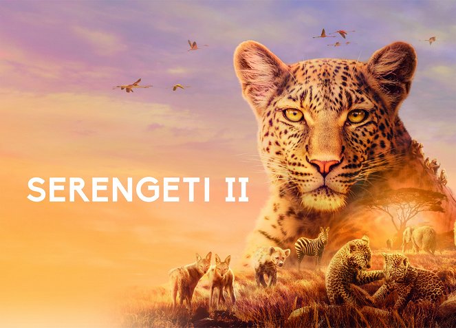 Serengeti - Serengeti - Season 2 - Plakaty