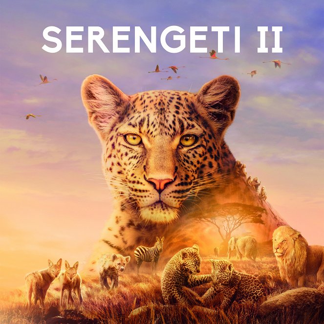 Élet a Serengeti Nemzeti Parkban - Élet a Serengeti Nemzeti Parkban - Season 2 - Plakátok