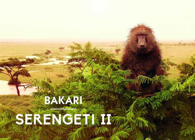 Serengeti - Serengeti - Season 2 - Cartazes