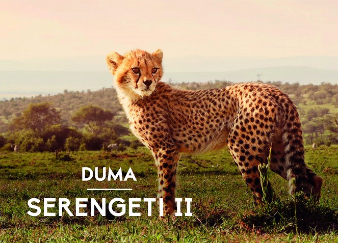 Serengeti - Season 2 - Carteles