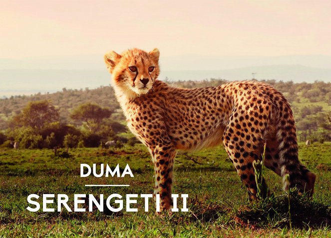 Serengeti - Serengeti - Season 2 - Carteles