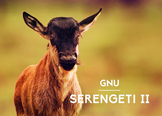 Serengeti - Serengeti - Season 2 - Posters