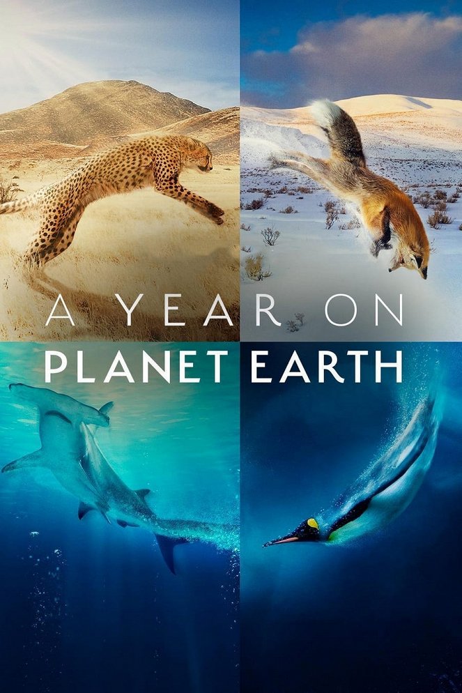 A Year on Planet Earth - Carteles