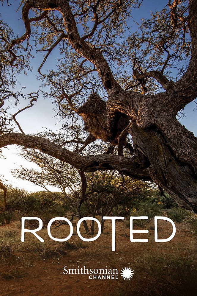 Rooted - Plakaty
