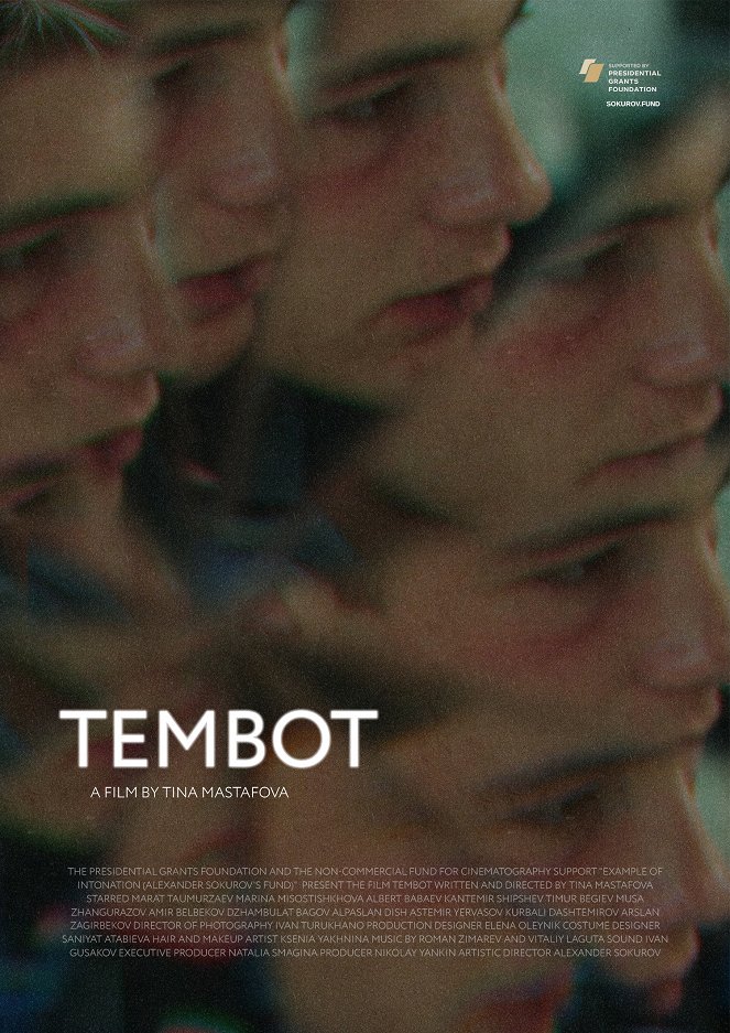 Tembot - Posters