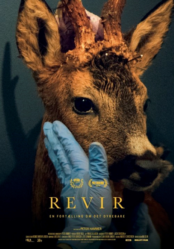 Revir - Everything You Hold Dear - Posters