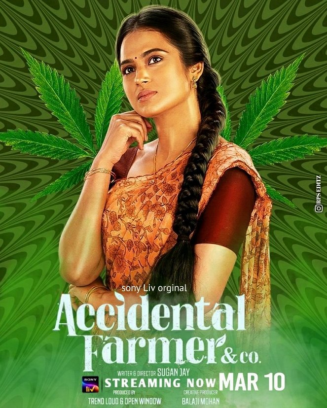 Accidental Farmer&CO - Plakaty