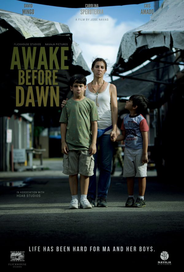Awake Before Dawn - Posters