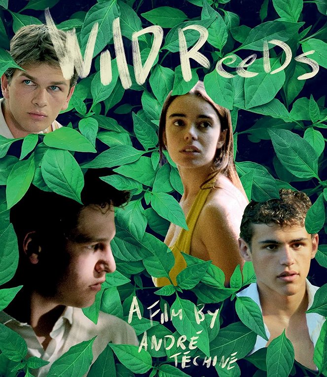 Wild Reeds - Posters