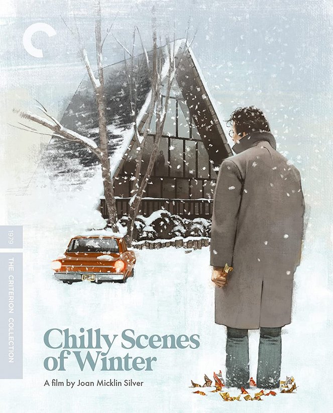 Chilly Scenes of Winter - Julisteet