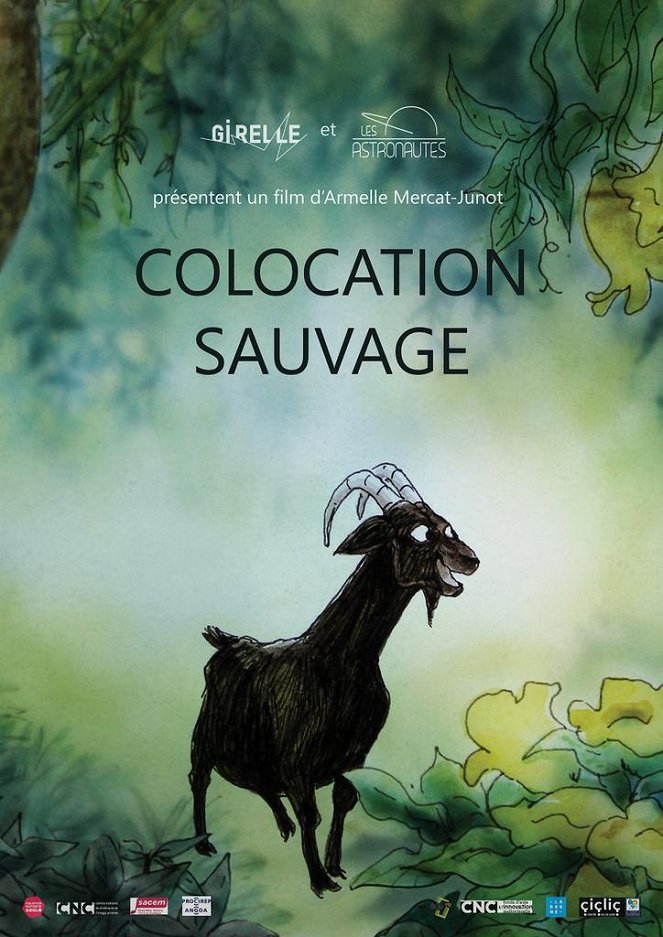 Colocation sauvage - Affiches