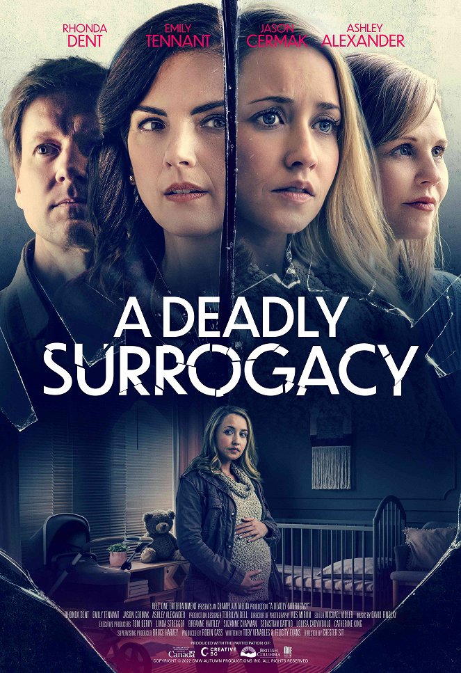 A Deadly Surrogacy - Affiches