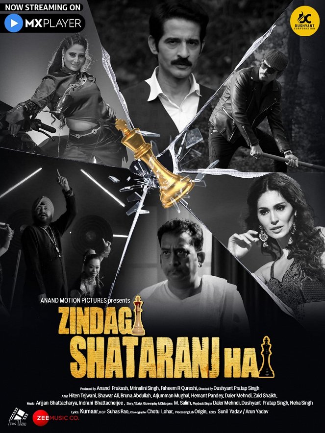 Zindagi Shatranj Hai - Plakáty