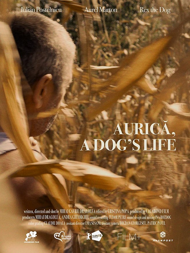 Auricův psí život - Plakáty