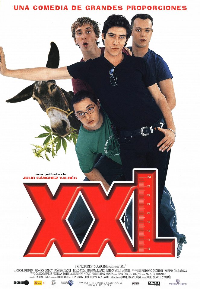 XXL - Plakaty