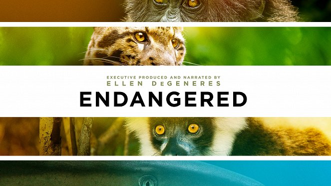 Endangered - Affiches
