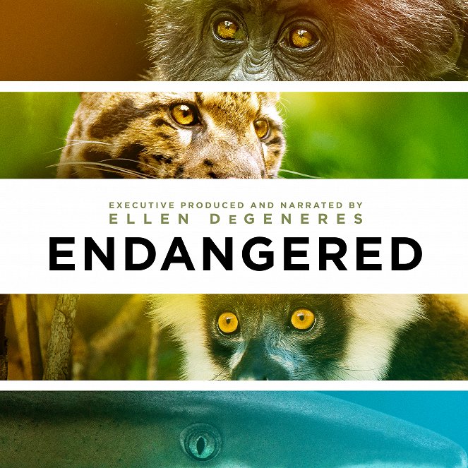Endangered - Affiches