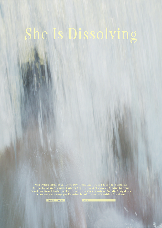 She Is Dissolving - Posters