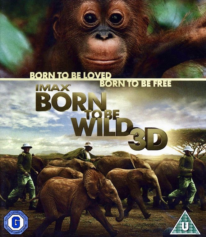 Born to Be Wild - Posters